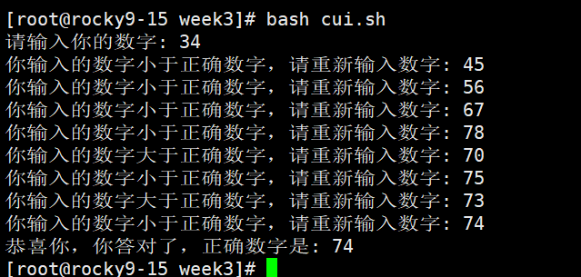 image-20250514205240393