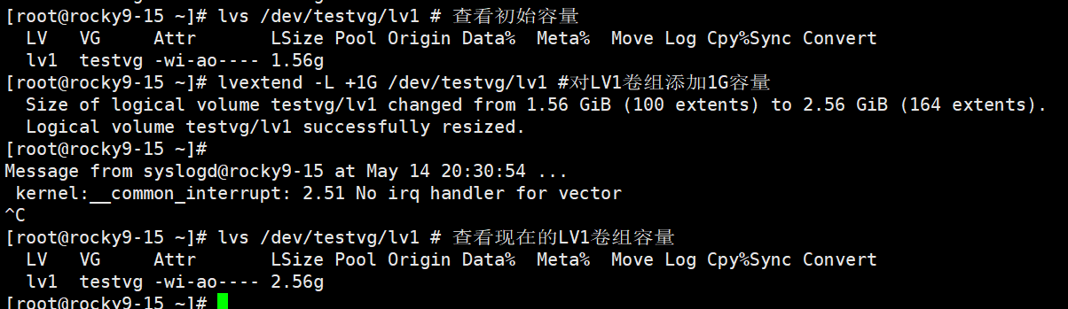 image-20250514203200568