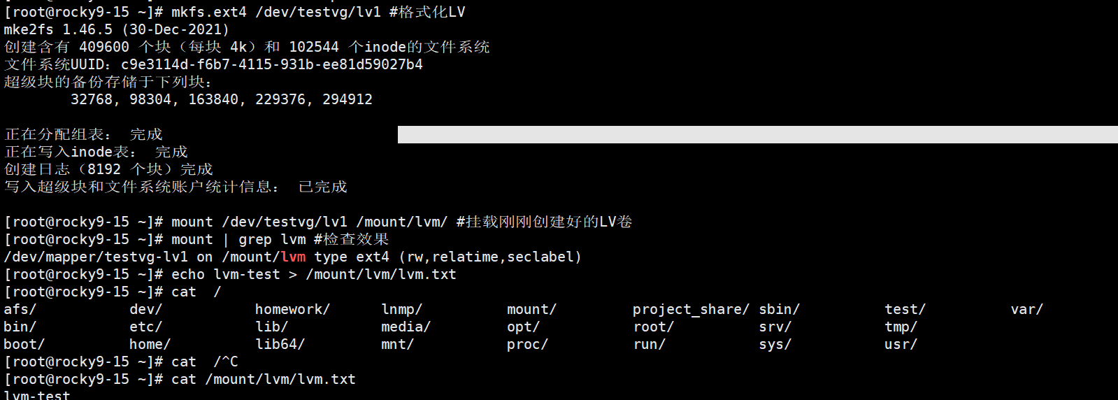 image-20250514202316746