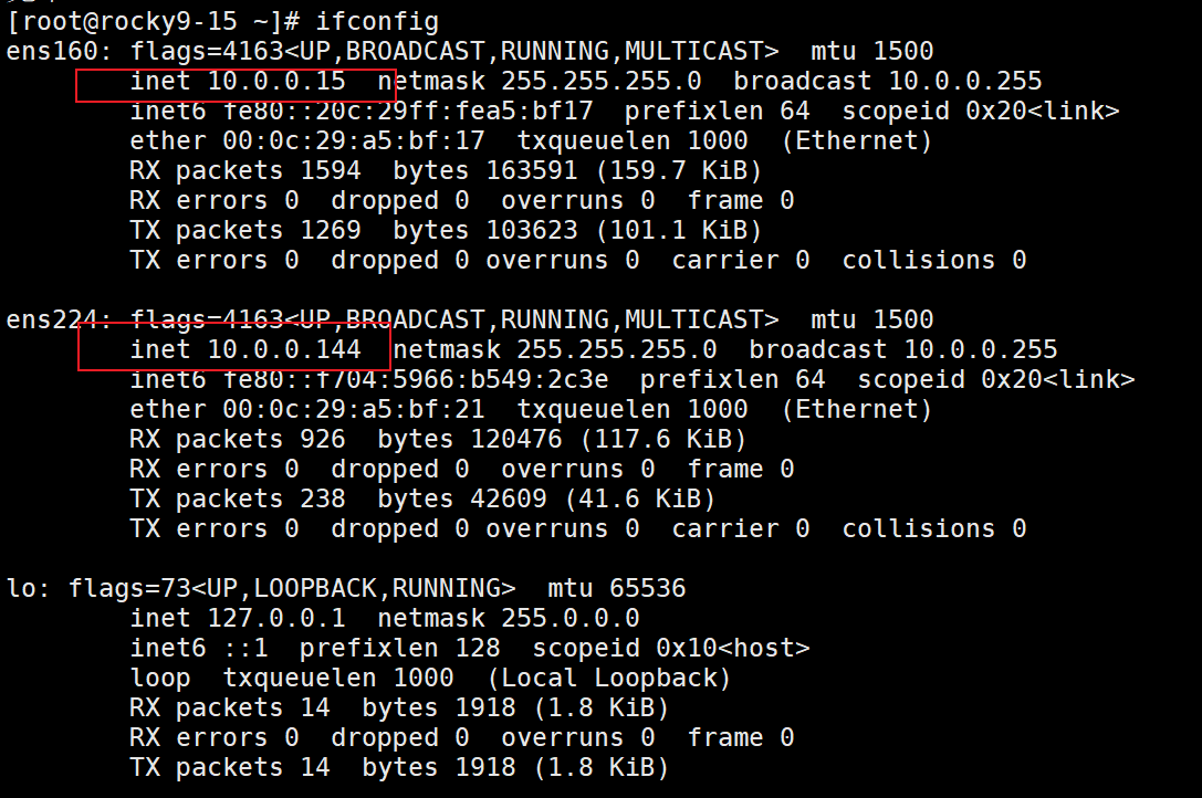 image-20250526215703284