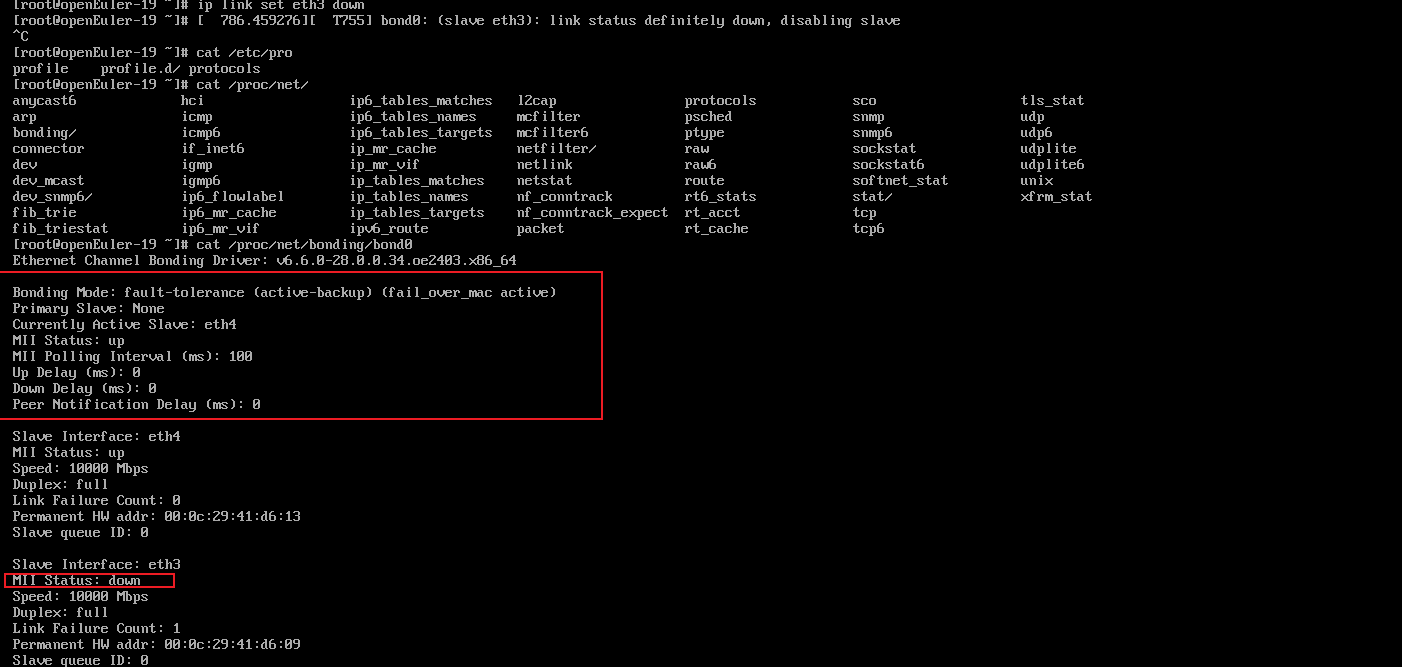 image-20250526214600743