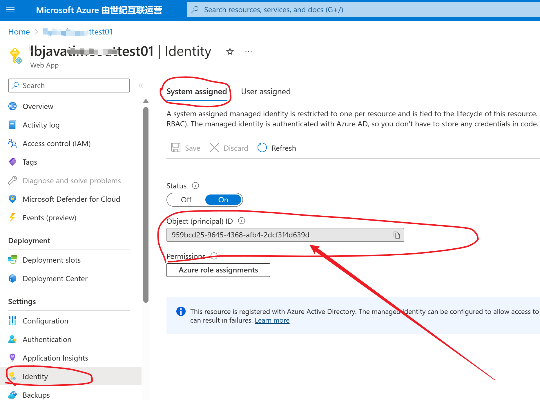 【Azure 应用服务】Java ODBC代码中，启用 Managed Identity 登录 SQL Server 报错 Managed Identity authentication is not available