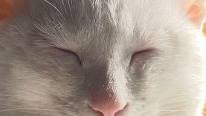 格式化字符串输出
