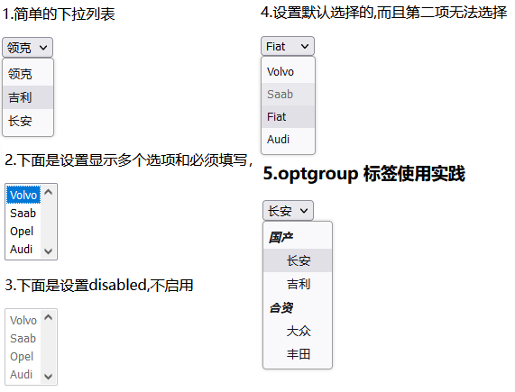 WeiyiGeek.select-optgroup-option实践图