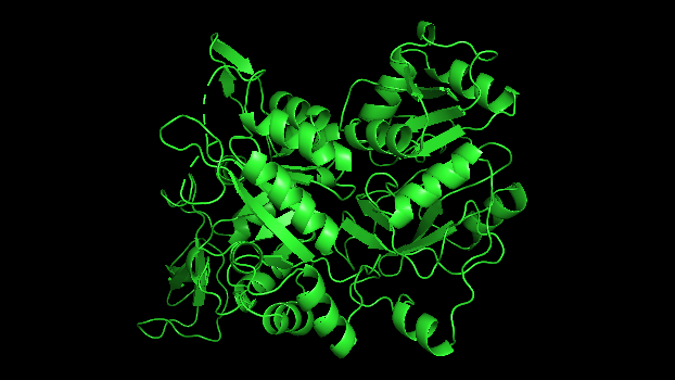 在Linux上安装和使用免费版本的PyMol