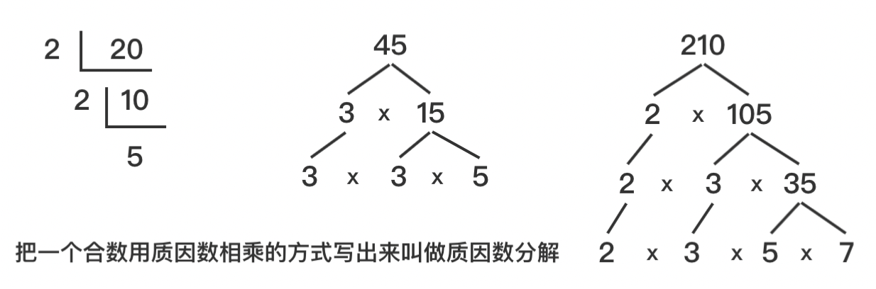 【质因数分解算法详解】C/Java/Go/Python/JS/Dart/Swift/Rust等不同语言实现