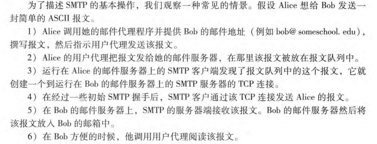 计算机网络「通关指南」-小白菜博客