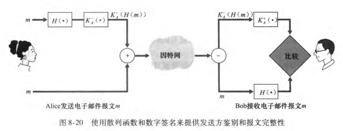 计算机网络「通关指南」-小白菜博客