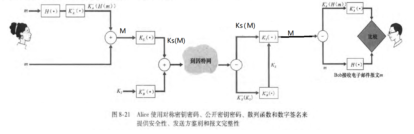 计算机网络「通关指南」-小白菜博客