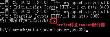 image-20200223173825661