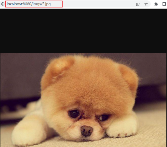 image-20220510115433596