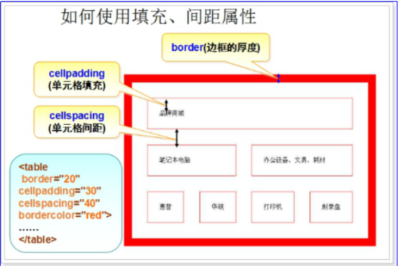 image-20220209214003498