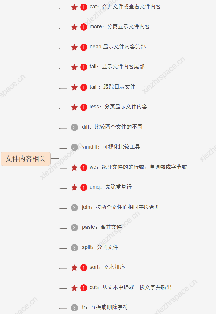 快速上手Linux核心命令（四）：文件内容相关命令