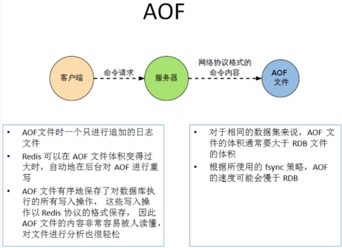 assets/Redis小册/image-20240122231102027.png