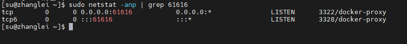 assets/ActiveMQ/image-20240409181131261.png