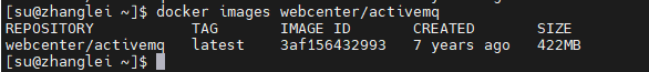 assets/ActiveMQ/image-20240409174536552.png