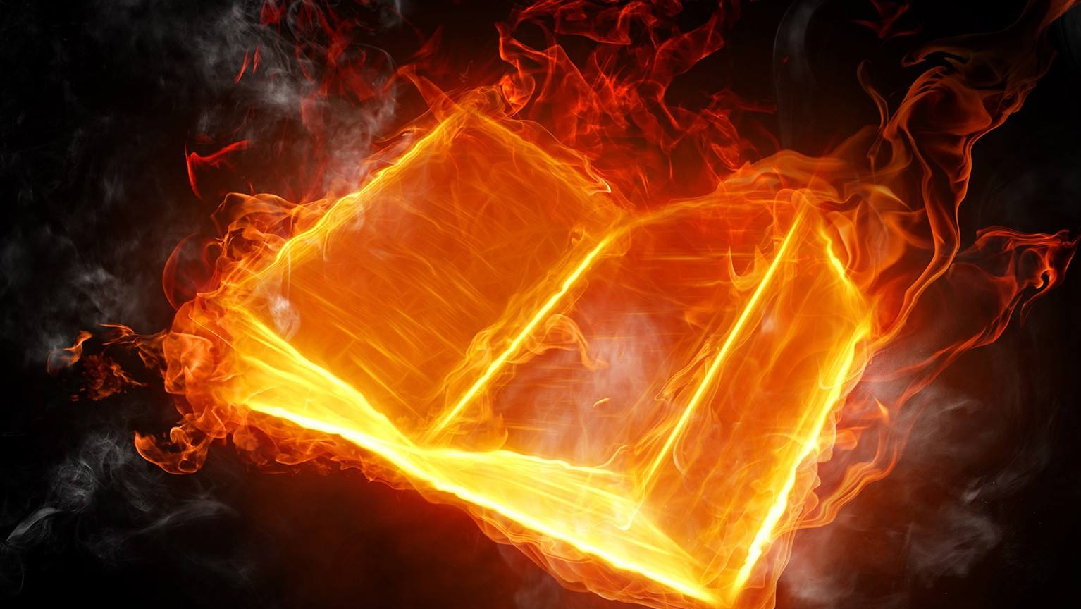 近日动态与计划,前进4