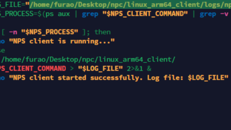 树莓派设置开机自动启动nps客户端并远程访问