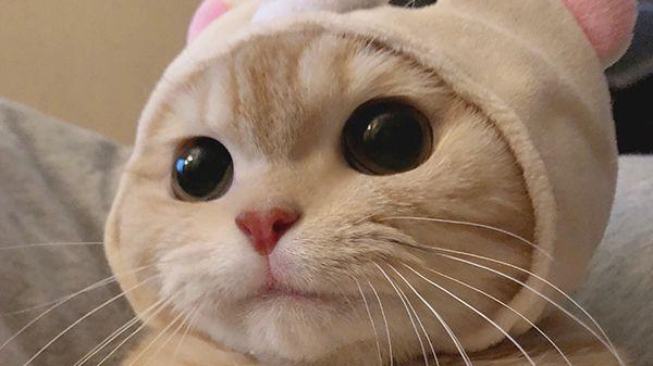 给博客换主题的一天