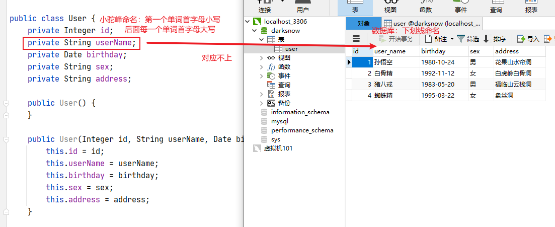 image-20230216115332196