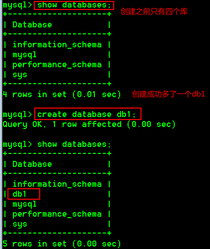 image-20220528164901497