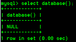 image-20220528172757520
