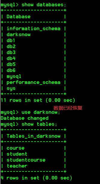 image-20220613155222629