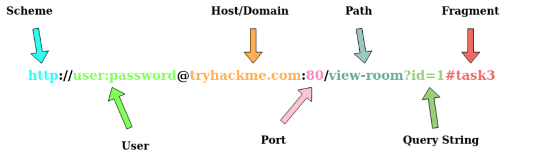 网络如何运作——详细DNS、HTTP、网站-小白菜博客