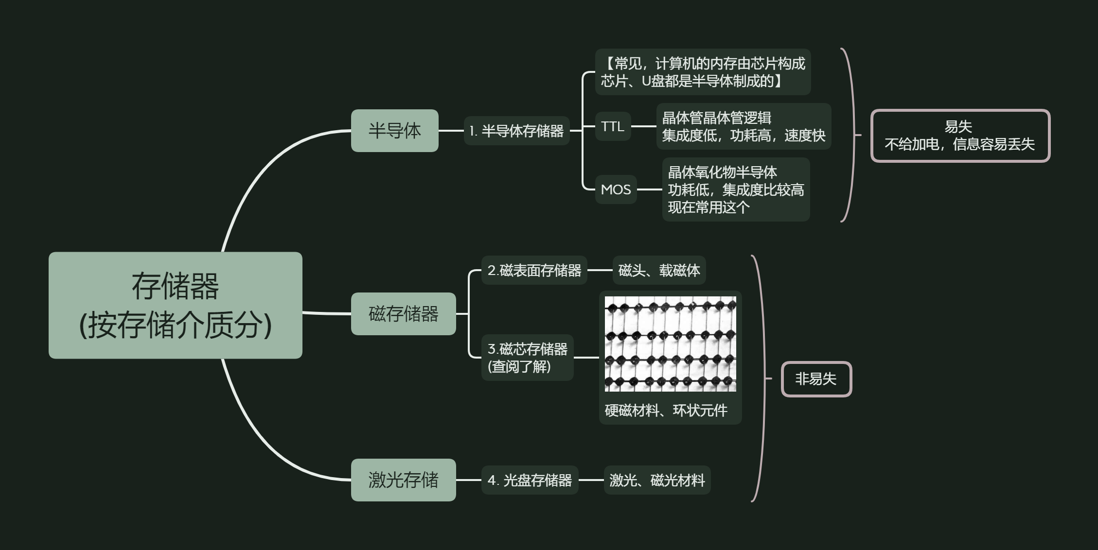 存储器 (按存储介质分)