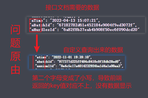 springboot中自定义JavaBean返回的json对象属性名称大写变小写问题