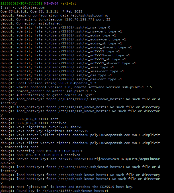 image-20240319230851109