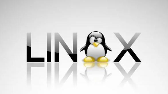 Linux命令-df