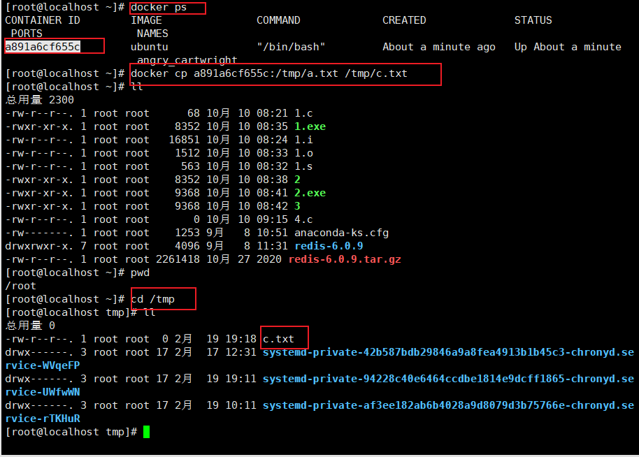 image-20230219192358546