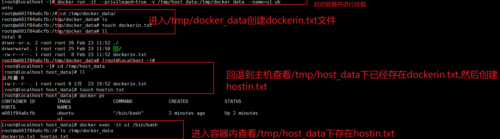 image-20230223195912294