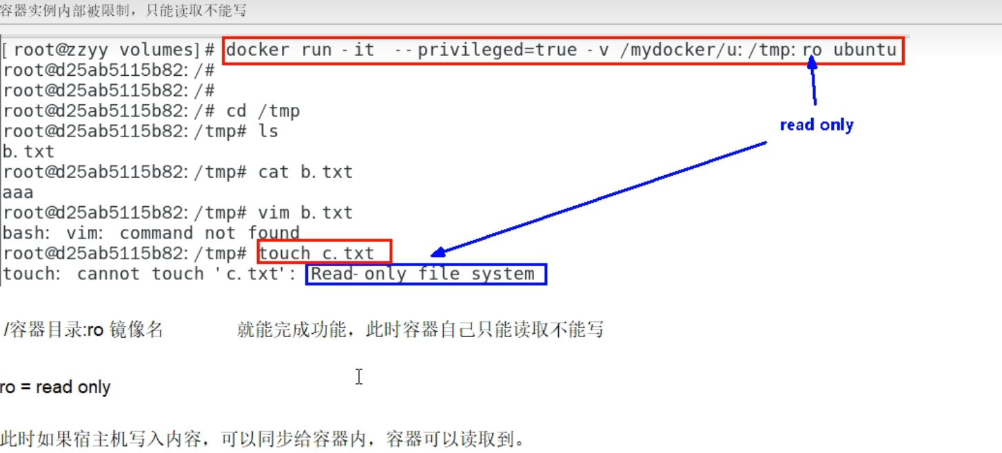 image-20230223231041881