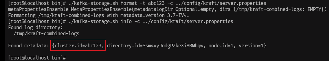 image-20240612205622069