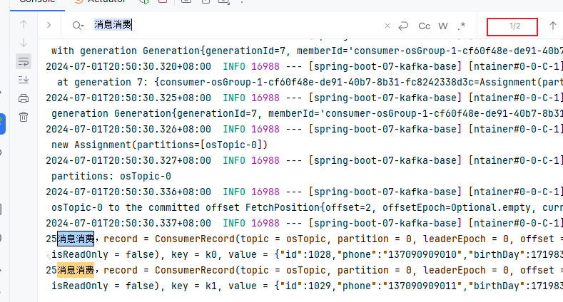 image-20240701205122159