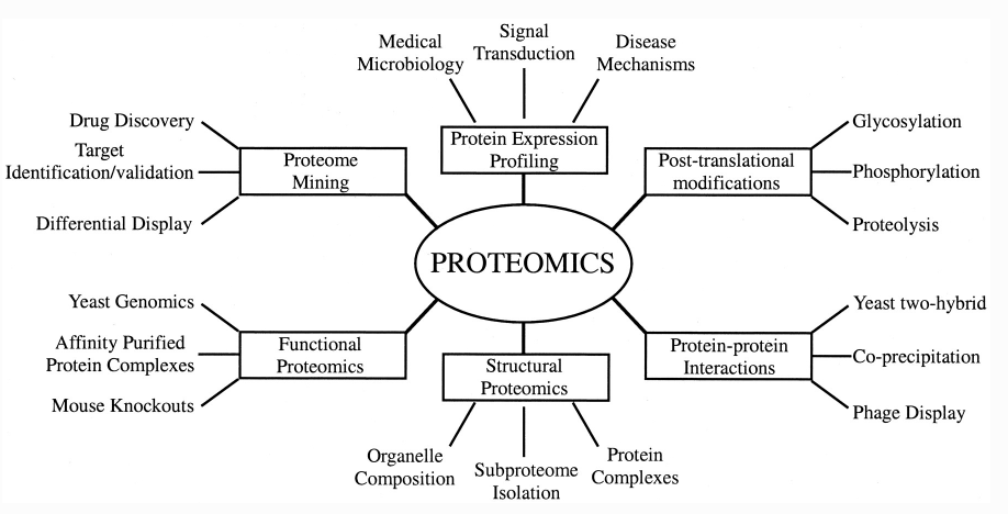 Proteomics