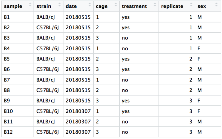 dataset