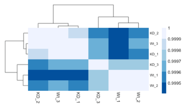 Hierarchical Clustering Heatmap