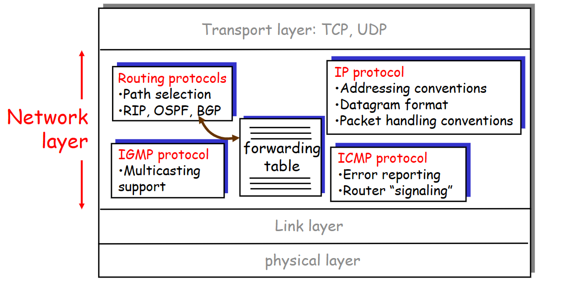 计网学习笔记七 IP protocol basic