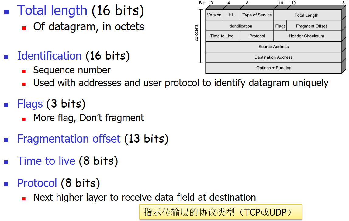 计网学习笔记七 IP protocol basic-小白菜博客