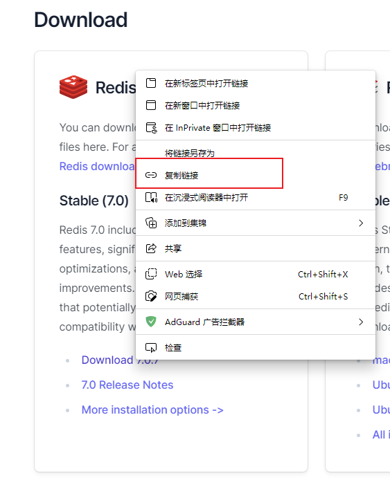 image-20230113010110694