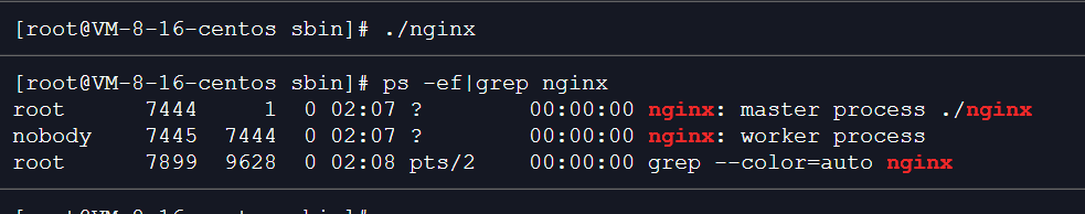 运行nginx并查看进程 运行nginx并查看进程