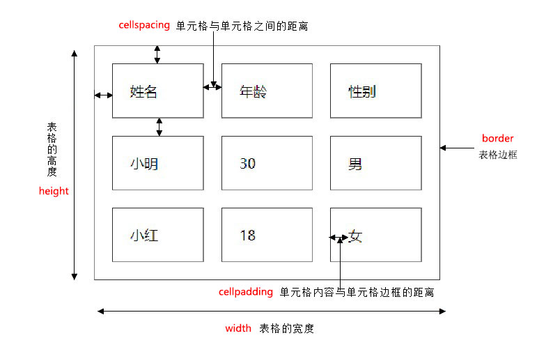 04-表格 table(会使用)