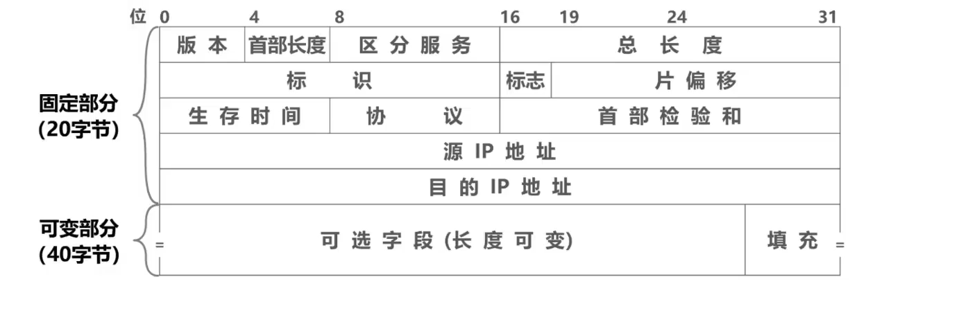 第四章 网络层-小白菜博客