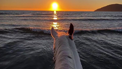 基于esxi创建ubuntu虚拟机开局环境配置