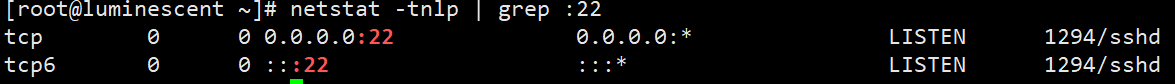netstat查看守护进程sshd监听端口