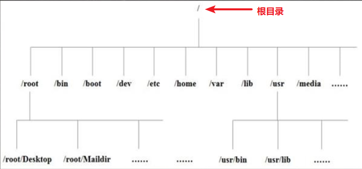 linux的目录结构