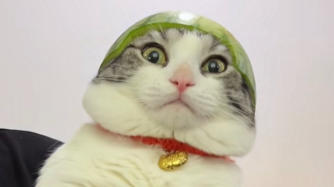 JS数组有哪些常用原生方法？哪些能改变数组本身？